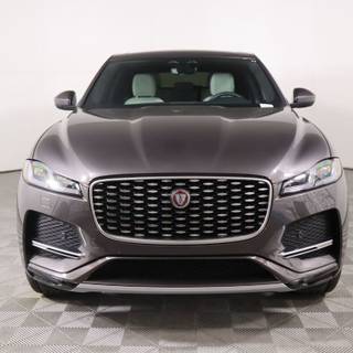 Jaguar 2023 wallpaper