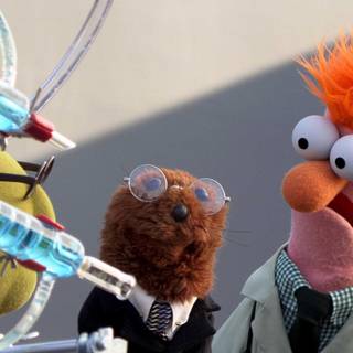 The Muppets 2015 wallpaper