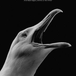 Robert Eggers wallpaper