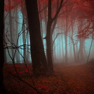 Red fog wallpaper