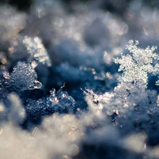 Snow crystal wallpaper