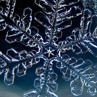 Snow crystal wallpaper