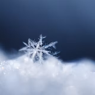 Snow crystal wallpaper
