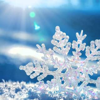 Snow crystal wallpaper