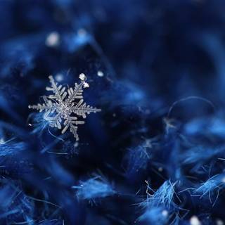 Snow crystal wallpaper