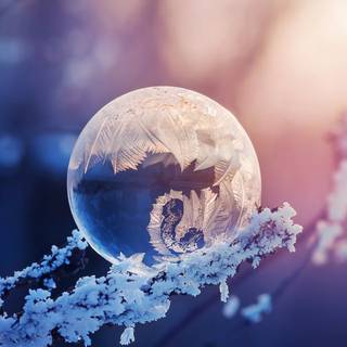 Snow crystal wallpaper