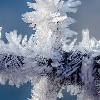 Snow crystal wallpaper