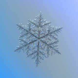 Snow crystal wallpaper