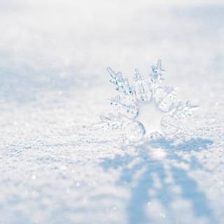 Snow crystal wallpaper
