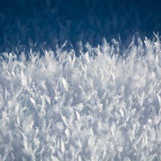 Snow crystal wallpaper