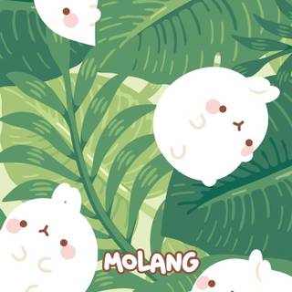 Cartoon animal spring wallpaper