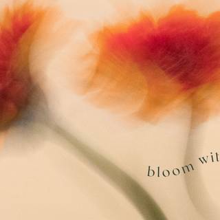 Red spring aesthetic wallpaper