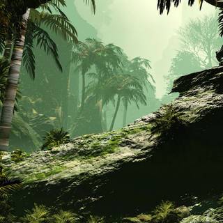 Jungle phone wallpaper