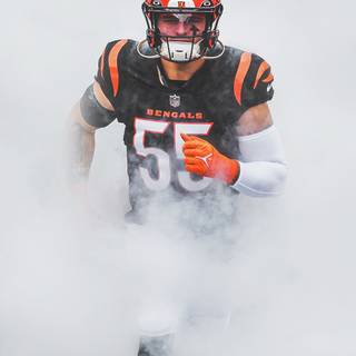 Bengals NFL wallpaper