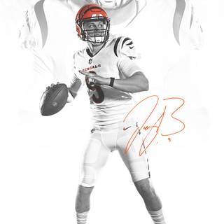 Bengals NFL wallpaper