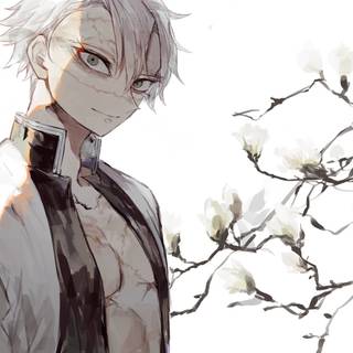 Demon Slayer Sanemi wallpaper