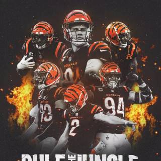 Bengals NFL wallpaper