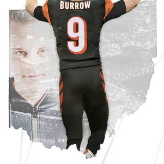 Bengals NFL wallpaper