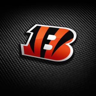 Bengals NFL wallpaper