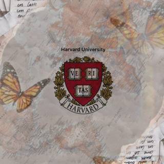 Harvard aesthetic wallpaper