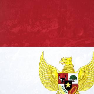 Indonesia map iPhone wallpaper
