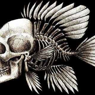 Grunge aesthetic skeleton computer wallpaper