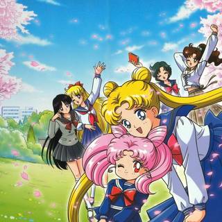 Sailor Cosmos wallpaper