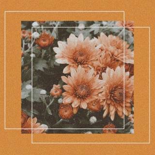 Vintage cute wallpaper