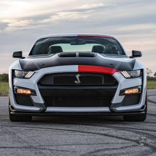 Mustang Shelby 2023 wallpaper