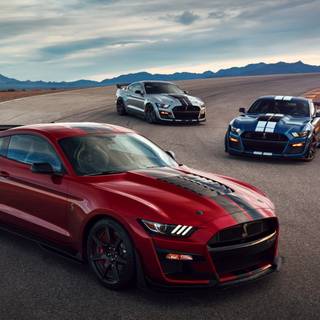 Mustang Shelby 2023 wallpaper