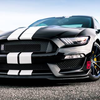 Mustang Shelby 2023 wallpaper