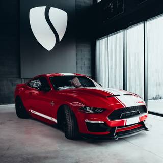 Mustang Shelby 2023 wallpaper