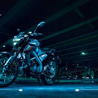 2023 MT 125 wallpaper