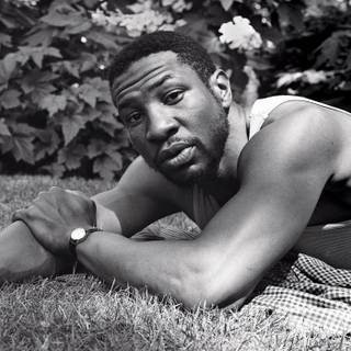 Jonathan Majors wallpaper