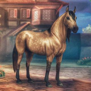 Paso Fino horse wallpaper