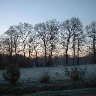 Early morning frost wallpaper