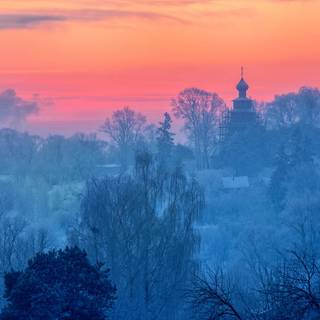 Early morning frost wallpaper