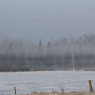 Early morning frost wallpaper