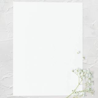 White frame wallpaper