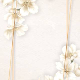 White frame wallpaper