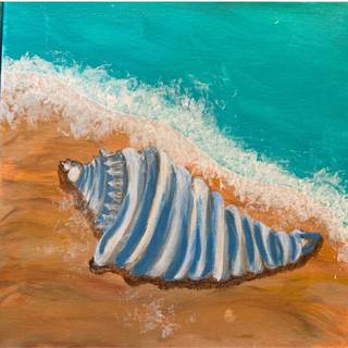 Sand Dollar wallpaper