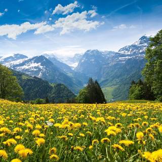 Spring mountains 4k wallpaper