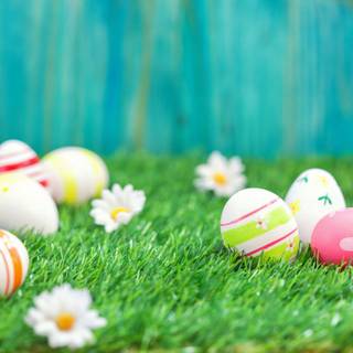 Spring and Easter vibes wallpaper