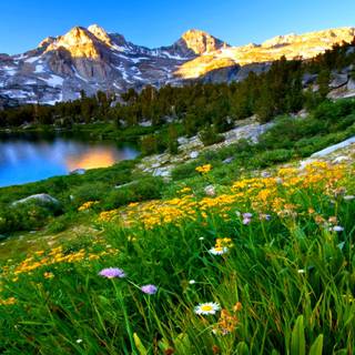 Spring mountains 4k wallpaper