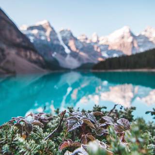 Spring mountains iPhone wallpaper