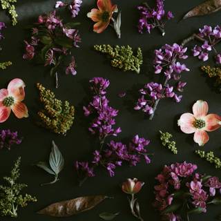 Dark spring 8k wallpaper