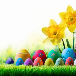 Spring and Easter vibes wallpaper