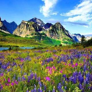 Spring mountains 4k wallpaper