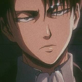 Levi PFP wallpaper