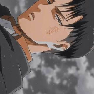 Levi PFP wallpaper